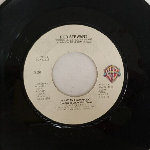 Record 45 RPM Vinyl Rod Stewart- What Am I Gonna Do/ Dancin' Alone - Picture 5 of 6